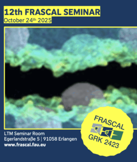 Zum Artikel "12th FRASCAL Seminar"